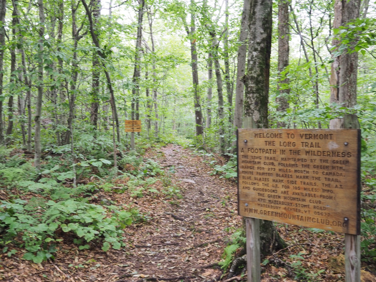 long trail southern terminus