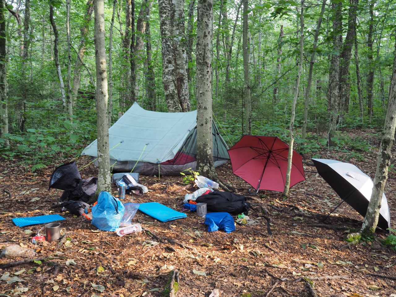 seth warner tent site