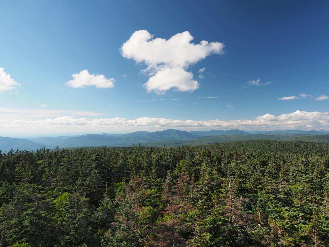 glastenbury mountain fire tower