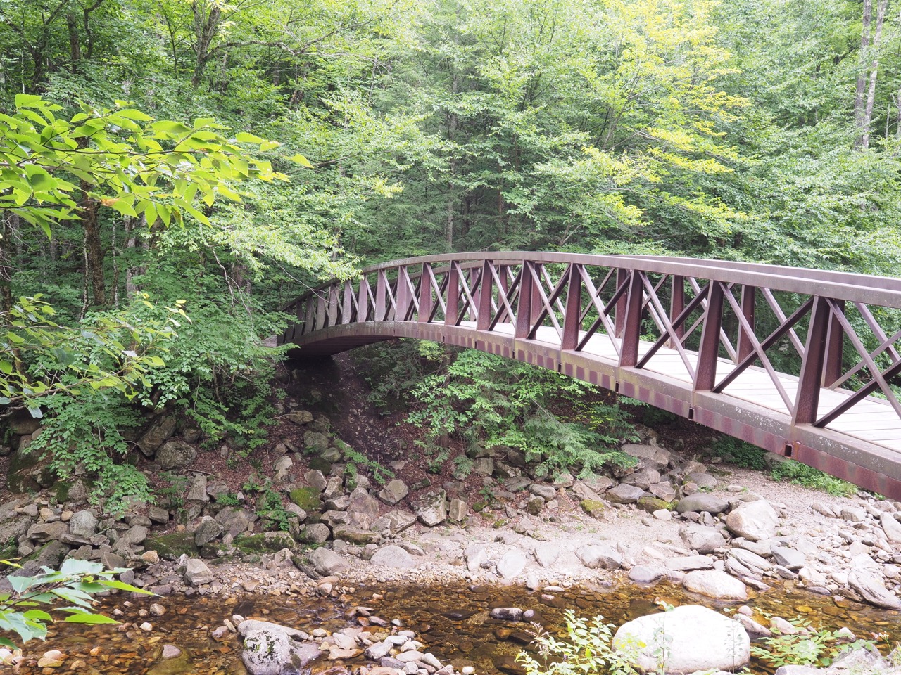 woodford hollow foot bridge