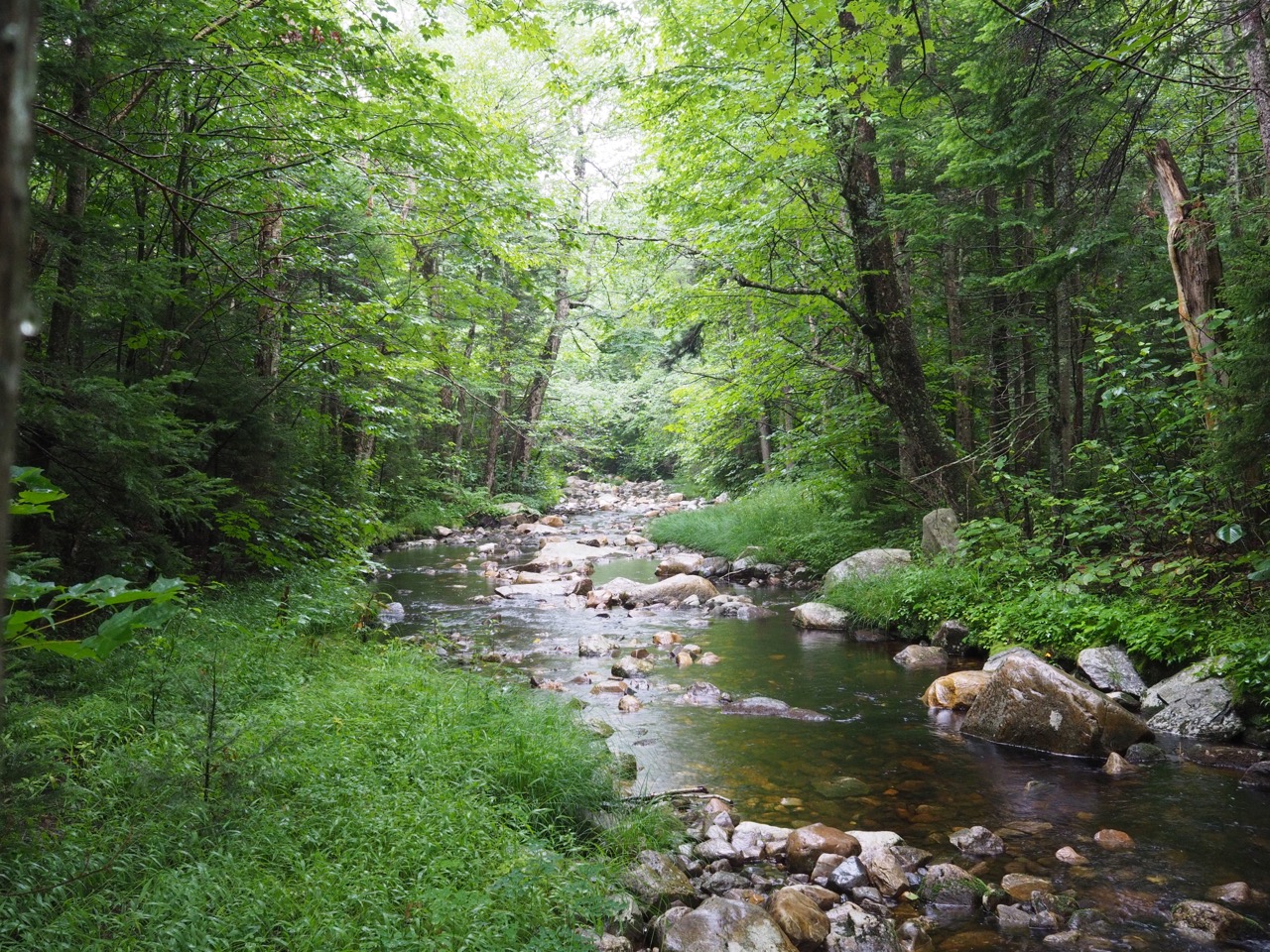 black brook