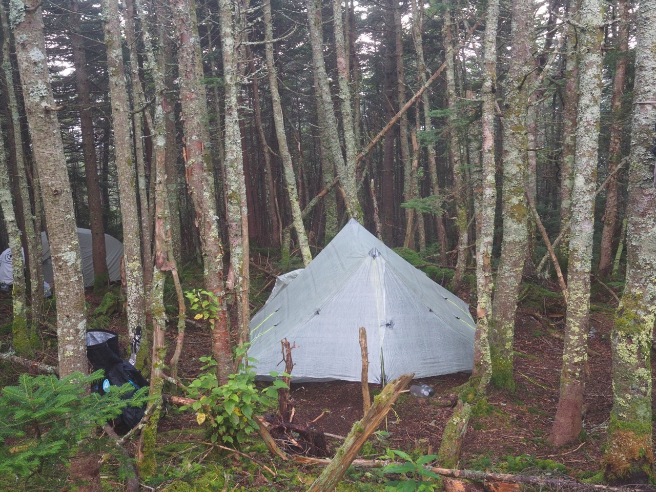 battell shelter tent site