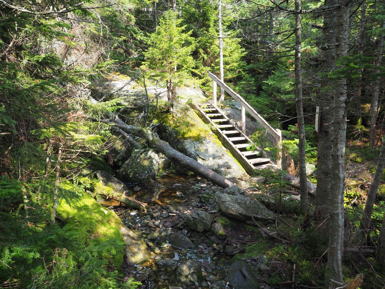 glen ellen stairs