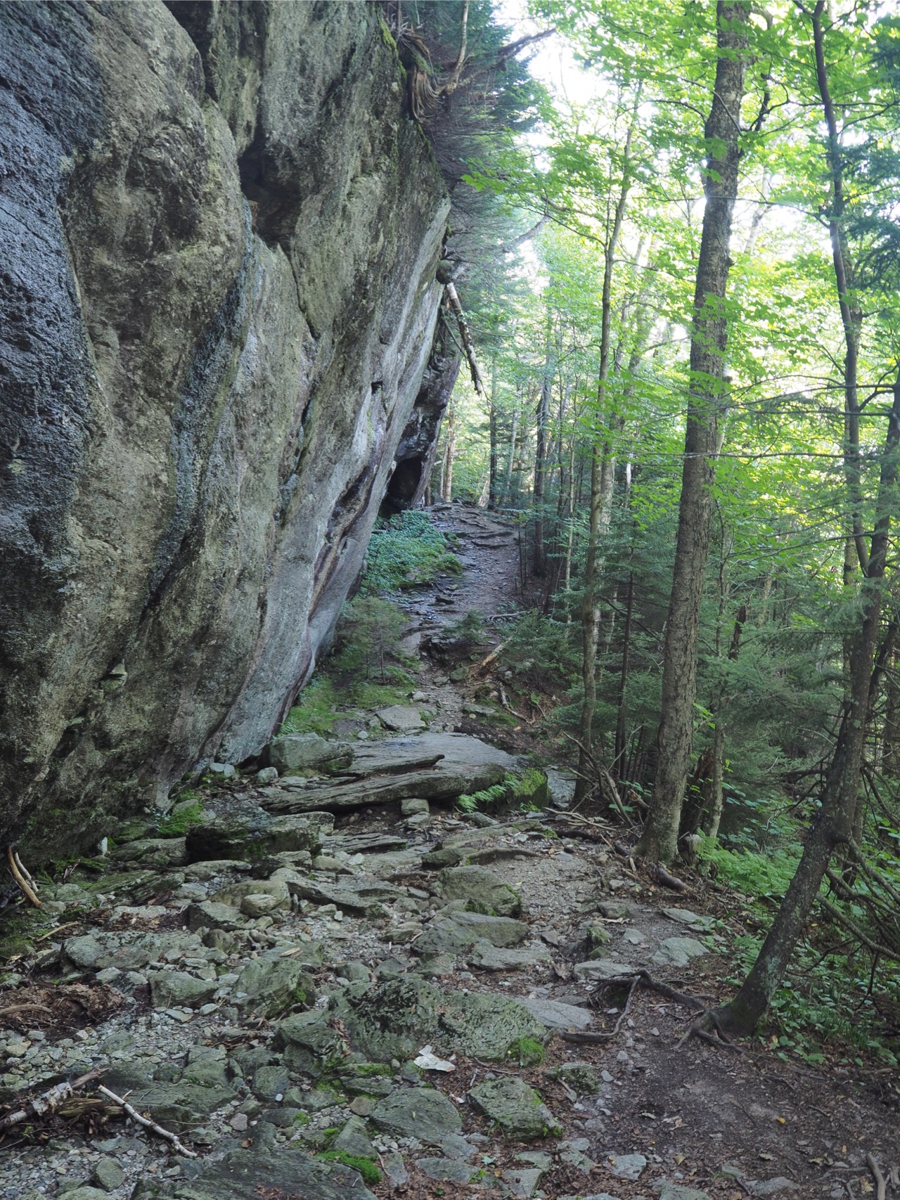 rock ledge