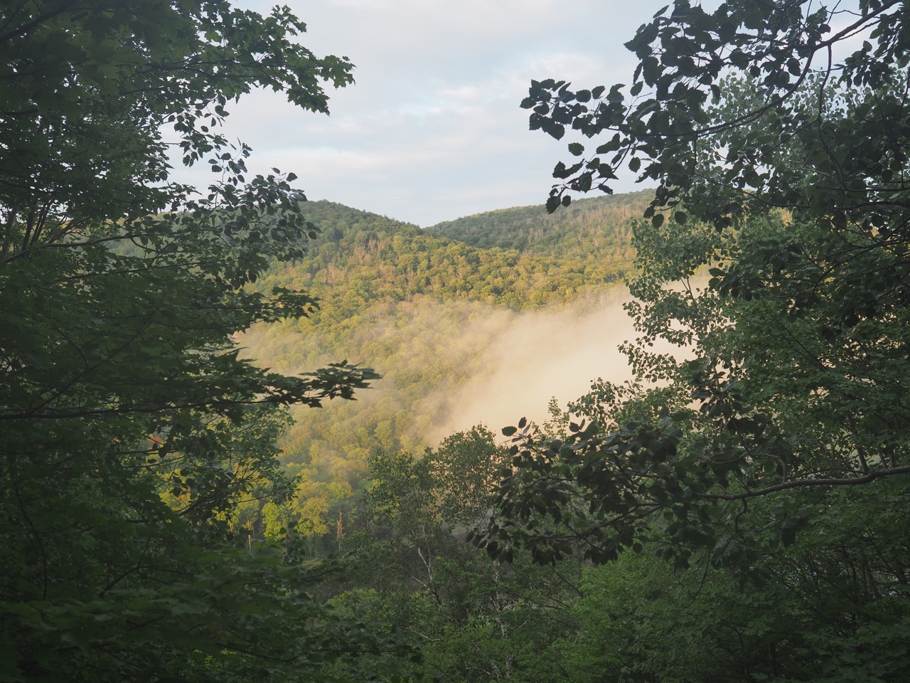 ritterbush lookout