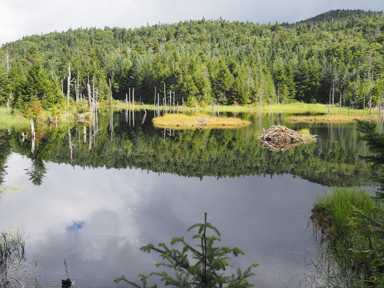 lockwood pond