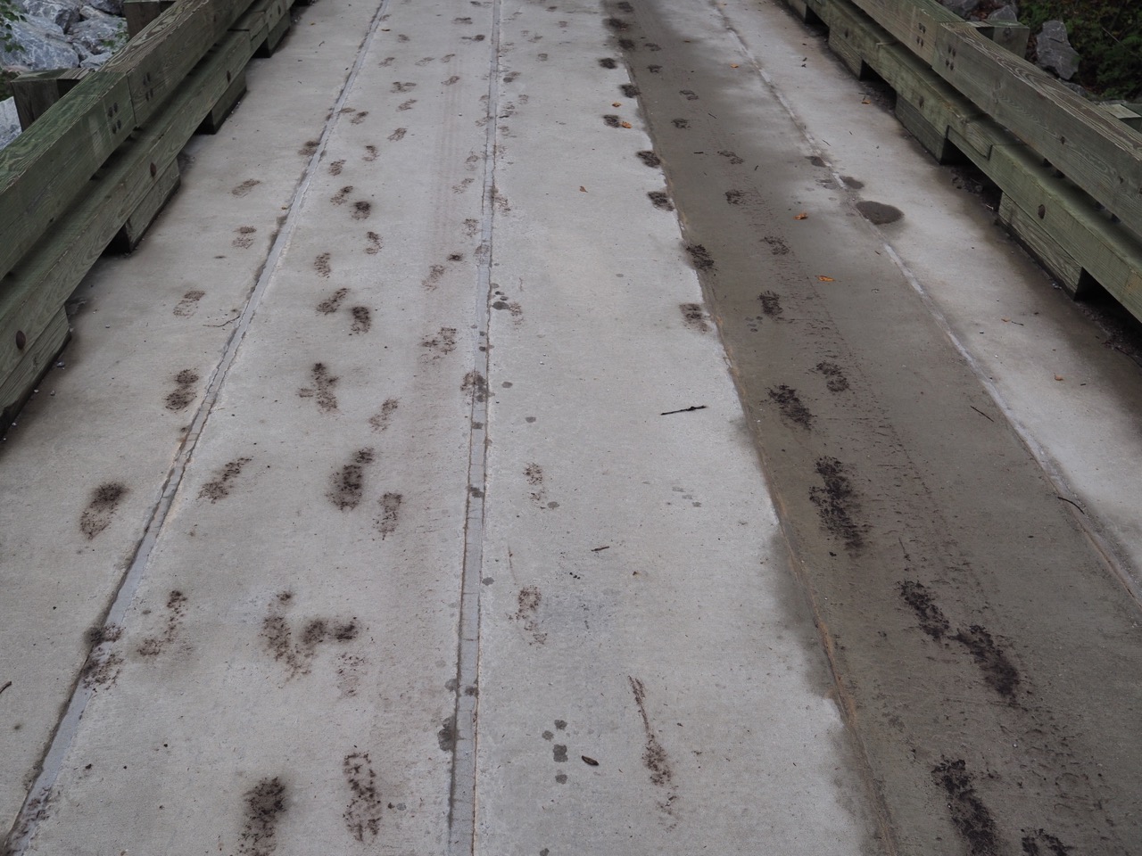 sargent brook bridge footprints