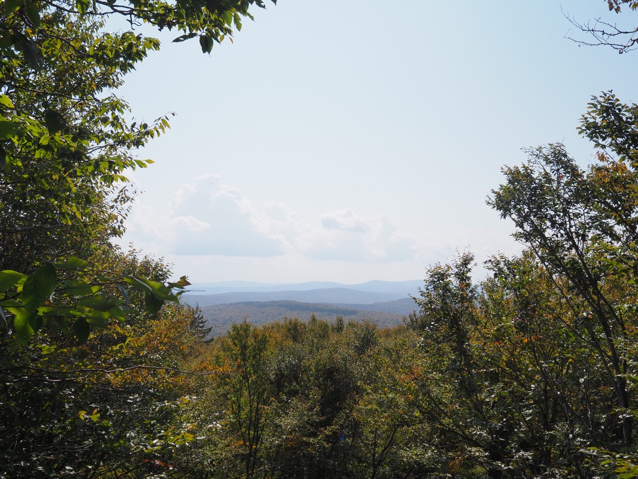 little pond lookout view