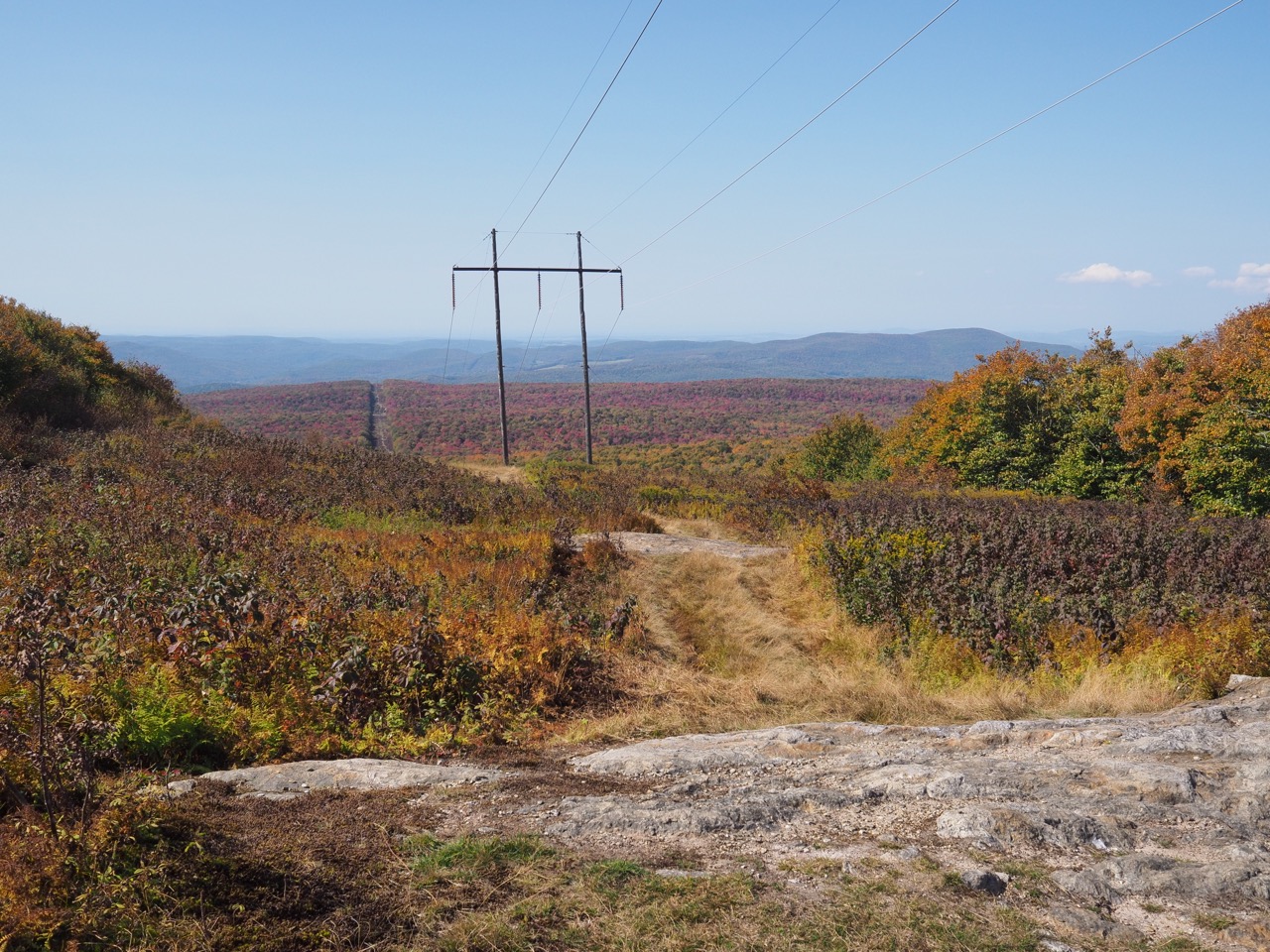 power lines