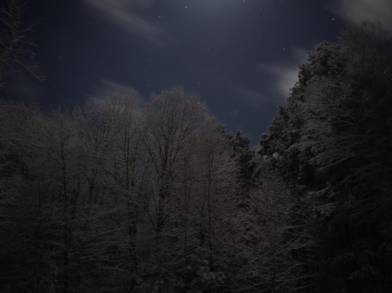 winter night