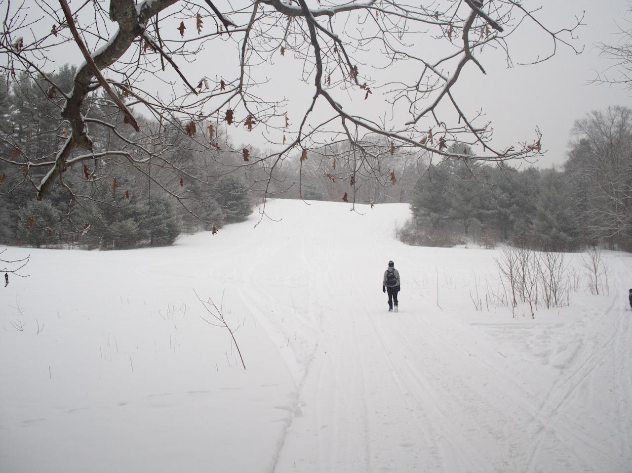 winter walk