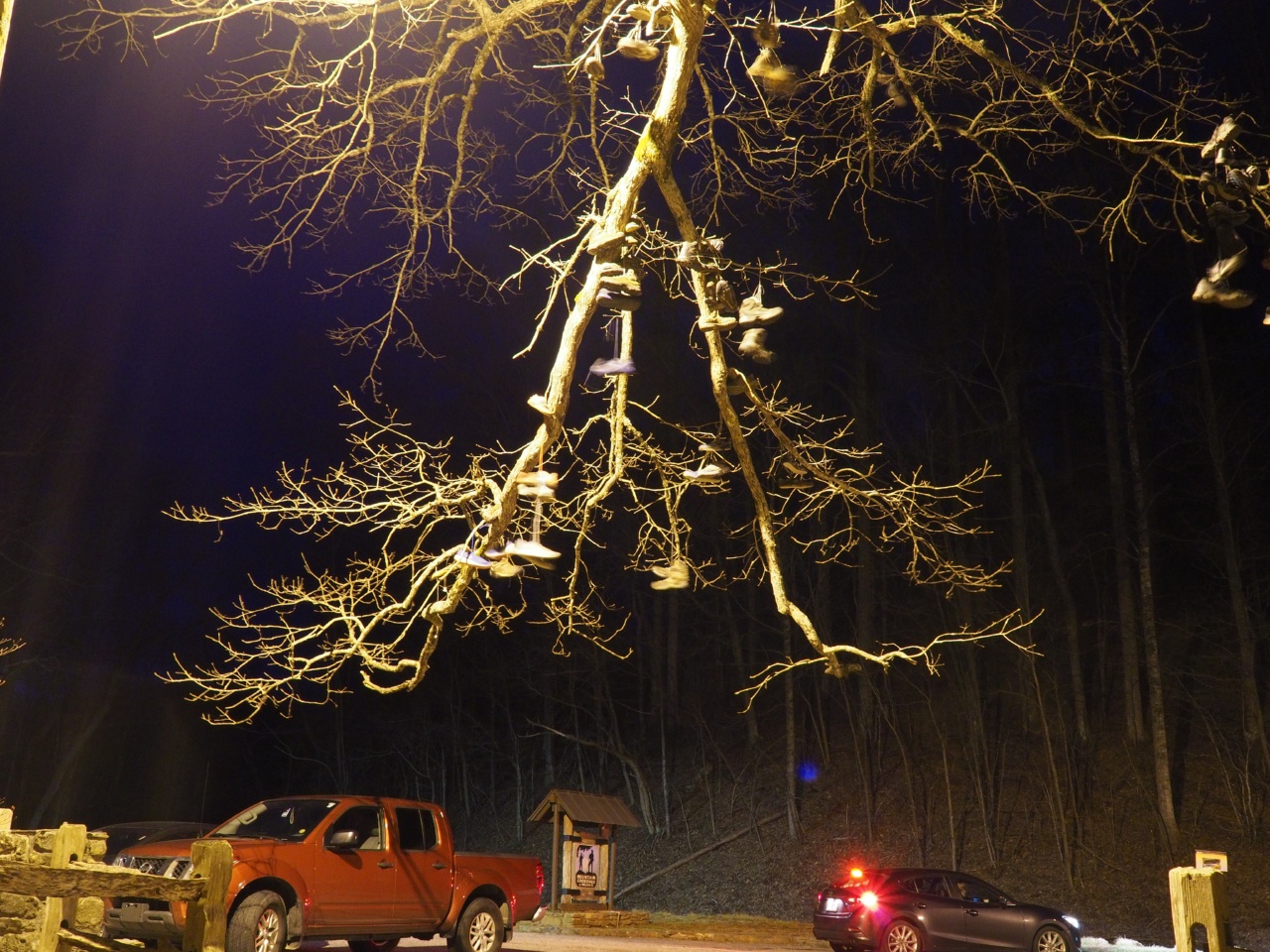 boot tree