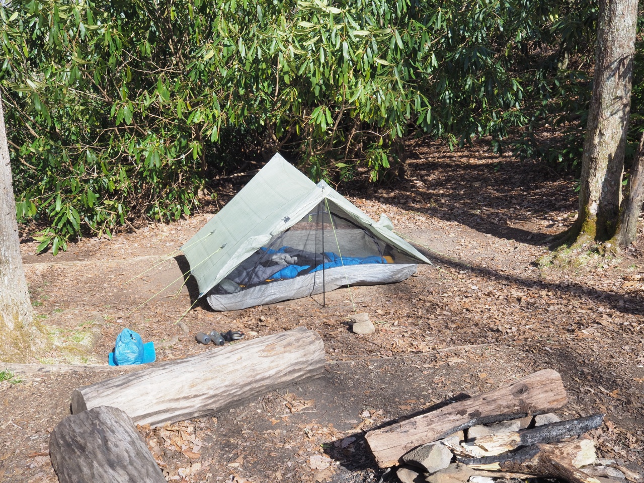 locust cove gap tent site