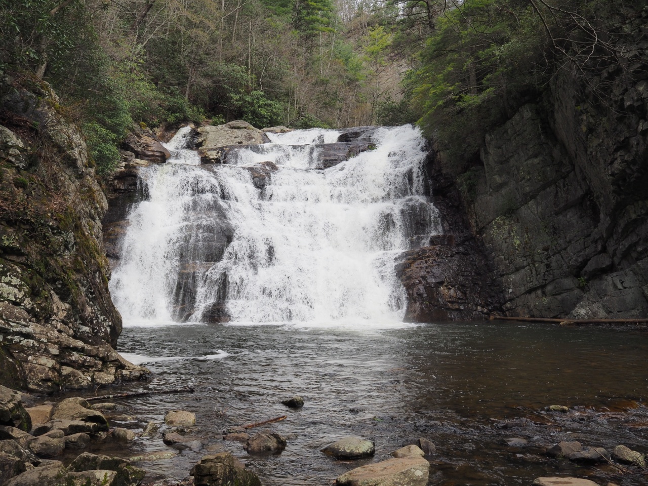 laurel falls